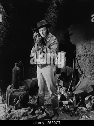 DATE DE SORTIE : Octobre 28, 1949. Titre du film : Border Incident. STUDIO : Metro-Goldwyn-Mayer (MGM). PLOT : o pénétrer un gang mexicain illégal l'exploitation des travailleurs agricoles en contrebande en Californie (et ne pas laisser de témoins en direct), l'agent fédéral mexicain Pablo Rodriguez pose comme un ignorant bracero, tandis que son homologue américain Jack Bearnes travaille de l'extérieur. Bientôt, les deux sont en danger mortel du meneur, rancher Owen Parkson, sinistre et trouver nuit à la ferme pour être plein de film-noir de l'ombre menace. Sur la photo : . Banque D'Images