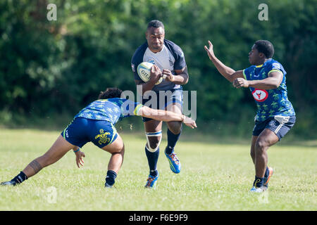 Les joueurs de rugby en action Banque D'Images