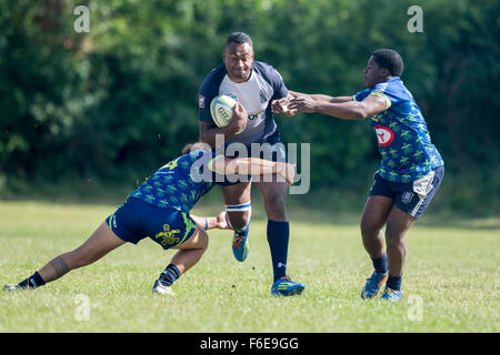 Les joueurs de rugby en action Banque D'Images