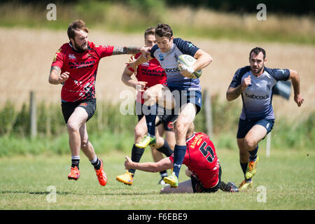 Les requins de la Royal Navy rugby player sur le rampage. Banque D'Images