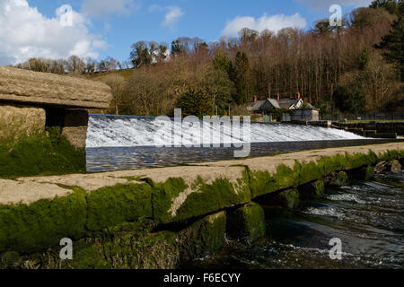 Lopwell barrage dans le devon Banque D'Images