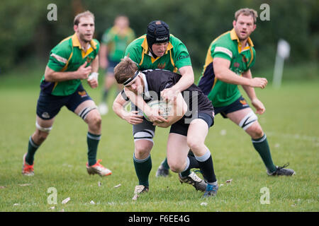 Dorset et Wiltshire Rugby Cup Semi Finale 2015 Banque D'Images