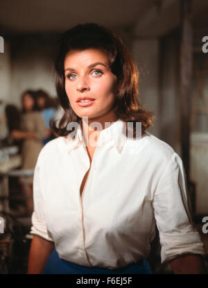 DATE DE SORTIE : 30 mars 1966. Titre du film : jeter une ombre géante. STUDIO : MGM. PLOT : Un officier de l'armée américaine est recruté par l'Israël d'exister encore pour les aider à créer une armée. Il est troublé par cette soudaine appel à ses racines juives. Chacun des voisins arabes d'Israël a promis d'envahir le pays mal préparé dès que la partition est accordée. Il est nommé commandant des forces israéliennes juste avant que la guerre commence. Sur la photo : Senta Berger comme Magda Simon. Banque D'Images