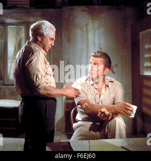 DATE DE SORTIE : 30 mars 1966. Titre du film : jeter une ombre géante. STUDIO : MGM. PLOT : Un officier de l'armée américaine est recruté par l'Israël d'exister encore pour les aider à créer une armée. Il est troublé par cette soudaine appel à ses racines juives. Chacun des voisins arabes d'Israël a promis d'envahir le pays mal préparé dès que la partition est accordée. Il est nommé commandant des forces israéliennes juste avant que la guerre commence. Sur la photo : KIRK DOUGLAS comme Colonel David "mickey" Marcus. Banque D'Images