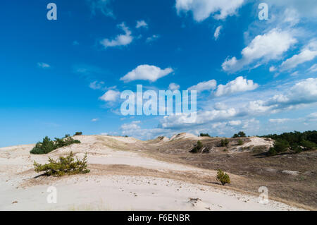 Été, ciel bleu avec quelques nuages sur des dunes Banque D'Images