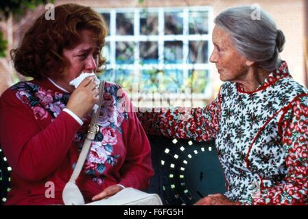 DATE DE SORTIE : Décembre 27, 1991. Titre du film : beignets de tomates vertes. STUDIO : Universal Pictures. Résumé : Une femme au foyer qui n'est pas satisfait de sa vie se lie d'une vieille dame. Sur la photo : Kathy Bates comme Evelyn Couch et Jessica TANDY comme benêt Threadgoode. Banque D'Images