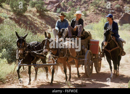 DATE DE SORTIE : Juin 10, 1994. Titre du film : City Slickers II : La Légende de Curly's Gold. STUDIO : Columbia Pictures Corporation. Résumé : La deuxième partie de City Slickers commence après la mort de Curly. Il est le 40e anniversaire de Mitch Robbins et la journée commence assez bien jusqu'à ce qu'il rentre à la maison (après une dure journée à la station de radio) et trouve son frère Glen, le mouton noir de la famille, dans son canapé. Néanmoins il est sur d'avoir un merveilleux anniversaire-nuit avec sa femme quand il découvre une carte au trésor de Curly par hasard. Avec Phil (à partir de la première partie) et malheureusement avec Glen Banque D'Images