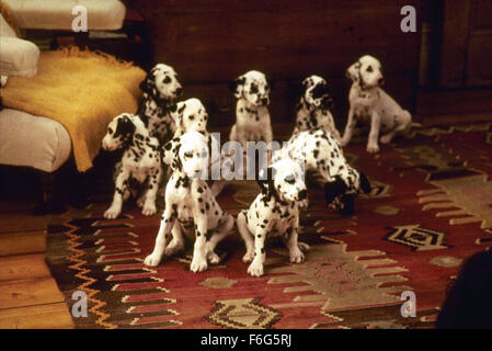 Juin 05, 2000 ; Hollywood, CA, USA ; les chiots de la comédie familiale ''101 Dalmations'' réalisé par Stephen Herek. Banque D'Images