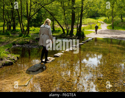 Stepping Stones et diffuser dans les bois à Cannock Chase une zone de beauté naturelle exceptionnelle dans le Staffordshire England UK Banque D'Images