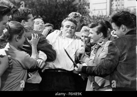 1955, le titre du film : REBEL WITHOUT A CAUSE, Directeur : NICHOLAS RAY, Studio : WARNER, Photo : foule, JAMES DEAN, combats. (Crédit Image : SNAP) Banque D'Images