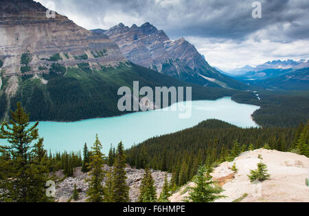 Vue aérienne de Peyto Lake, parc national Banff Banque D'Images