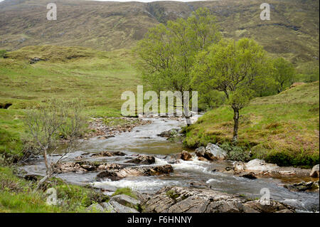 Rocky le cours supérieur de la Eau de Nevis à Glen Nevis Banque D'Images