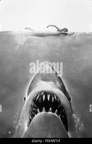 1975, le titre du film : JAWS, Réalisateur : Steven Spielberg, Studio : UNIV. (Crédit Image : SNAP) Banque D'Images