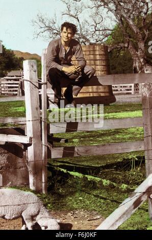 1946, le titre du film : GALLANT JOURNEY, Réalisateur : William WELLMAN, Studio : COLUMBIA, Photo : GLENN FORD. (Crédit Image : SNAP) Banque D'Images