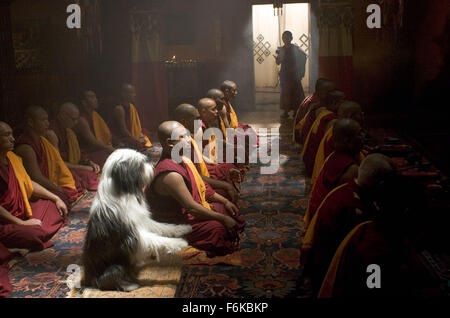 DATE DE SORTIE : Mars 10, 2006. Titre du film : The Shaggy Dog. STUDIO : Walt Disney Pictures. Résumé : Un homme tente de vivre une vie normale malgré le fait qu'il se transforme en un chien de berger. Sur la photo : . Banque D'Images