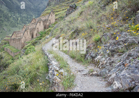 Chemin menant à d'anciens ruines Incas près de Ollantaytambo, Pérou. Banque D'Images