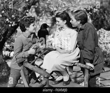 Jan 14, 2007 ; Hollywood, CA, USA ; DATE DE SORTIE : Avril 30, 1949. Réalisateur : Fred M. Wilcox. STUDIO : MGM. Résumé : Lorsque le choléra prend les parents de Mary Lennox, il est expédié de l'Inde à l'Angleterre pour vivre avec son oncle Craven. Archibald Craven's house est sombre, de courants, avec plus de 100 chambres construites sur le bord de la lande. Mary estime que son oncle ne souhaite pas la voir, ce qui est bien avec Marie comme elle est grossière et suspecte. En marchant dans les jardins le jour suivant, Mary Avis importants qu'il y a un salon dans le jardin entouré d'un haut mur de pierre et pas de porte. Dickon, frère d'une femme de chambre, Banque D'Images