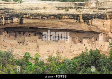 Cliff Palace à Mesa Verde National Park près de Cortez, Colorado Banque D'Images