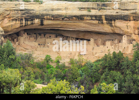 Cliff Palace à Mesa Verde National Park près de Cortez, Colorado Banque D'Images