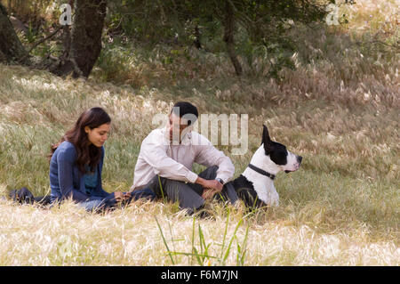 DATE DE SORTIE : Décembre 19, 2008. Titre du film : sept livres. STUDIO : Columbia Pictures. Résumé : L'histoire émotionnelle d'un homme qui va changer la vie de sept étrangers. Sur la photo : Rosario Dawson comme Emily et Will Smith comme Ben Thomas. Banque D'Images