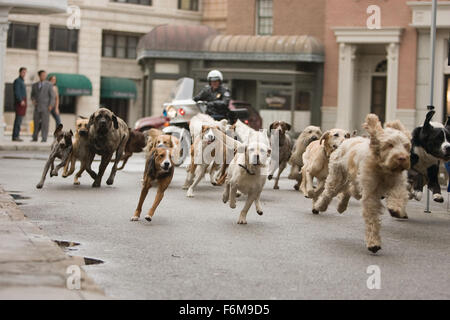 DATE DE SORTIE : 16 janvier 2009. Titre du film : Hôtel pour chiens. STUDIO : DreamWorks SKG. Résumé : Deux enfants prendre secrètement dans neuf chiens errants à une maison vide. Sur la photo : scène de film. Banque D'Images