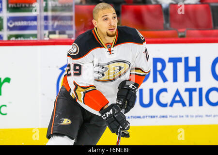 Raleigh, Caroline du Nord, USA. 16 Nov, 2015. Anaheim Ducks aile droite Chris Stewart (29) au cours de la partie de la LNH entre les Ducks d'Anaheim et les Hurricanes de la Caroline au PNC Arena. © Andy Martin Jr./ZUMA/Alamy Fil Live News Banque D'Images