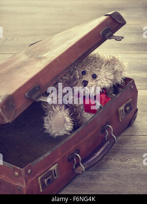 Petit ours assis dans une valise vintage Banque D'Images