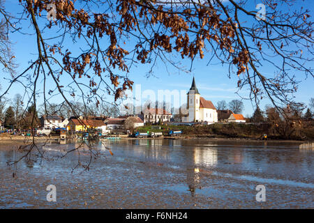 Bassin drainé récolte traditionnelle de carpe près du village de Bošilec. Bohême du Sud, village de campagne de la République tchèque Banque D'Images