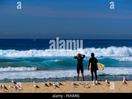 Maroubra Beach, près de Sydney NSW Australie Banque D'Images