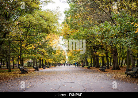 Regents Park, Londres à l'automne Banque D'Images