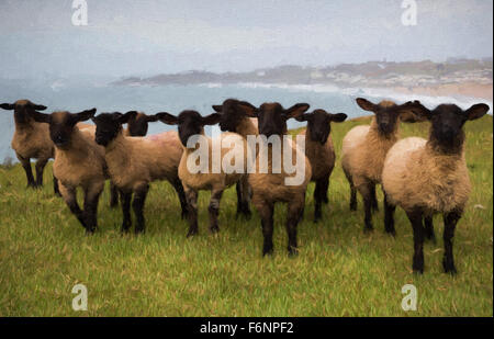 Moutons avec des visages noirs et des jambes illustration comme peinture à l'huile Banque D'Images