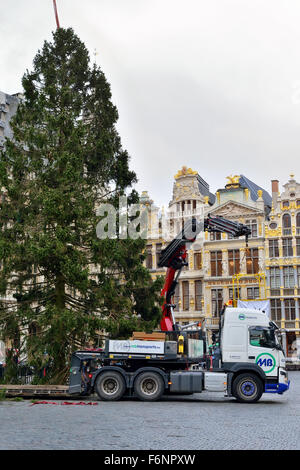 Installation d'arbre de Noël sur la Grand Place ou place centrale à Bruxelles, Belgique le 18 novembre, 2015. Banque D'Images