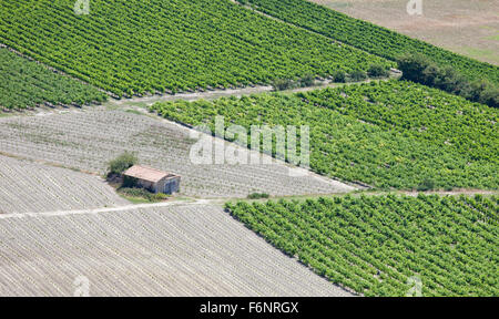 Les rangées de vignes et rural hut d'une vue aérienne. Paysage de campagne en Luberon, Provence, France. Banque D'Images