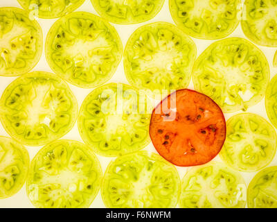 Tranche de tomates vert rétroéclairé de texture de fond et un rouge vif Banque D'Images