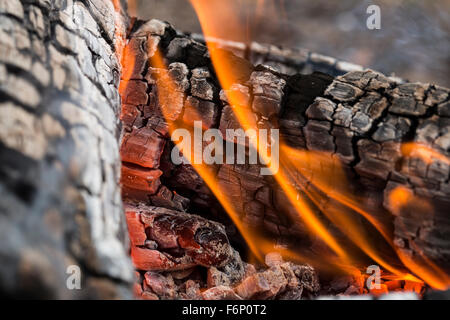 Feu de camp et flamme carbons Banque D'Images