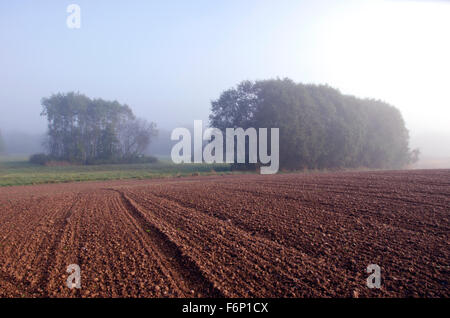 Lever de soleil sur champ d'argile fraîchement labourés dans paysage rural tôt le matin Banque D'Images