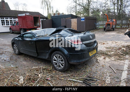 Storm Barney. Voitures en stationnement écrasé par la chute d'un arbre à Oxford, UK Banque D'Images