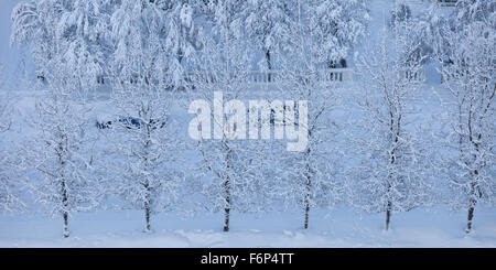 Lendemain de tempête, Reykjavik, Islande Banque D'Images