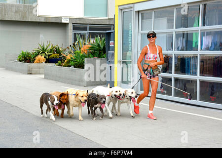 La vie par excellence de la Californie du Sud de mettre en place plusieurs femelle dog walker avec stick selfies le jogging sur la plage de Venice Banque D'Images