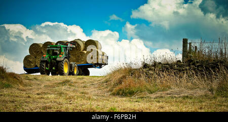 Fenaison sur Lane Farm Banque D'Images