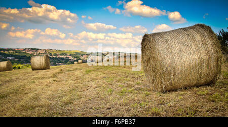 Fenaison sur Lane Farm Banque D'Images