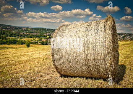 Fenaison sur Lane Farm Banque D'Images