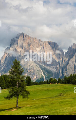 Berlin, Langkofel, la montagne, la montagne Dolomites, Plattkofel Naturpark Schlern Rosengarten, Tyrol du Sud, Italie Banque D'Images