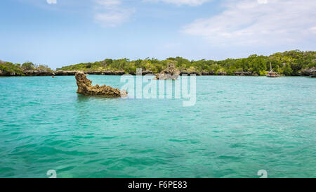 Fond marin avec arbres de mangrove et bateau de tourisme sur la côte tropicale de l'île de Zanzibar. Banque D'Images