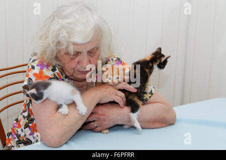 La grand-mère tenant trois chatons Banque D'Images