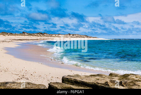 L'Australie, Australie occidentale, Gascoyne, Exmouth, North West Cape, plage de Lighthouse Bay Banque D'Images