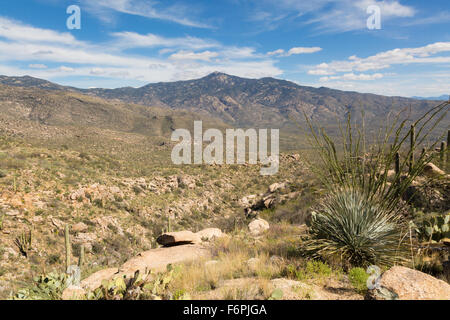 Pic s'élevant au-dessus de Mica Rincon Mountain à l'avant-plan, Saguaro National Park, Arizona Banque D'Images