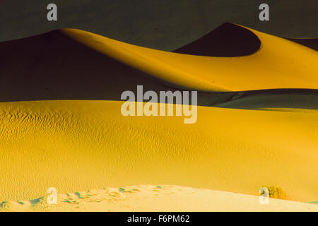 Contraste orange et noir les uns les autres comme le coucher du soleil la lumière frappe dune de sable des paysages pittoresques de la vallée de la mort parc national dans Banque D'Images