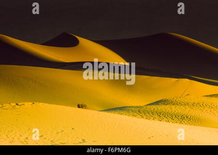 Les ombres dynamiques sur Mesquite Sand Dunes - Death Valley National Park Banque D'Images