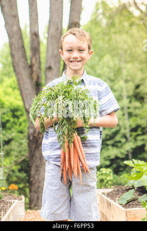 Caucasian boy holding carrots in garden Banque D'Images